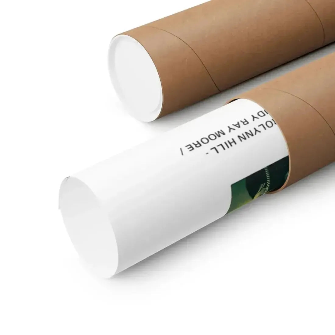 DOLEMITE (2) 1975 - Paper Movie Poster - The Sticker Space