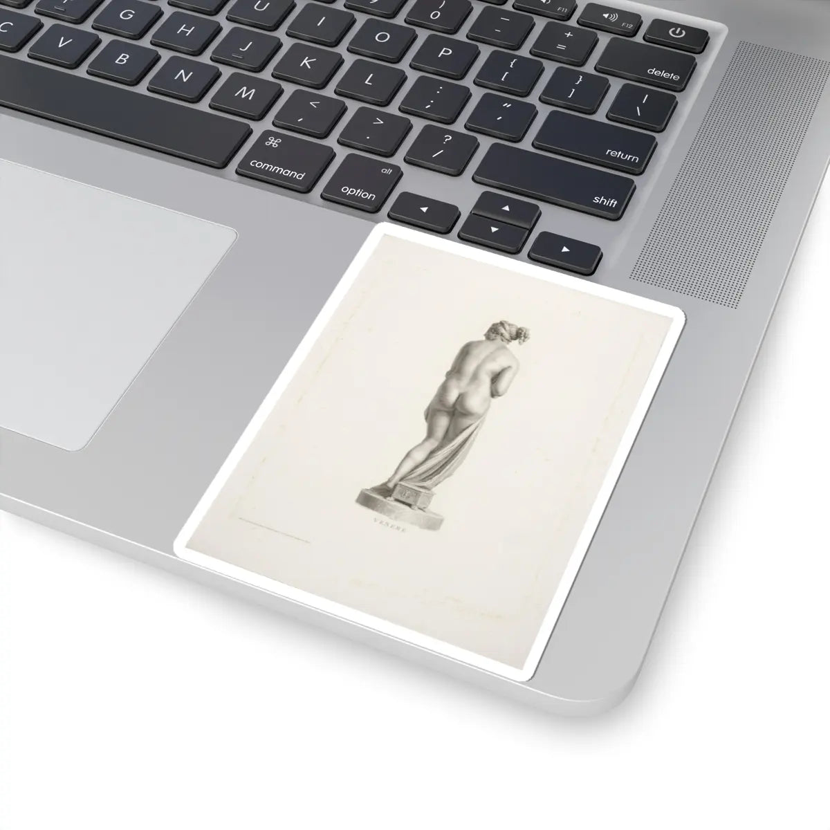 SKU:TSS-STICK-DMNMRC-4X4-6 Sizes:4" × 4" Types:White