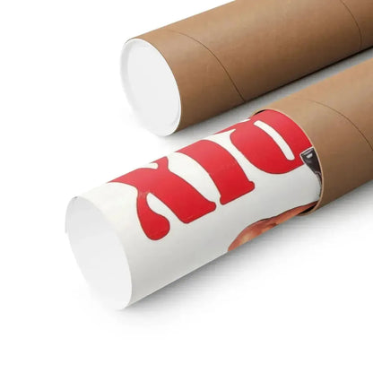 DOMINATRIX WITHOUT MERCY 1976 - Paper Movie Poster - The Sticker Space