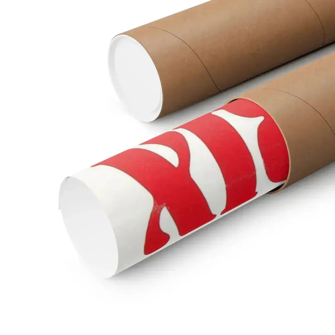 DOMINATRIX WITHOUT MERCY 1976 - Paper Movie Poster - The Sticker Space