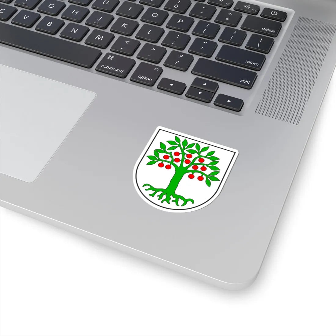 Domleschg Kreis wappen (Switzerland) (Coat of Arms) STICKER Vinyl Kiss-Cut Decal - The Sticker Space