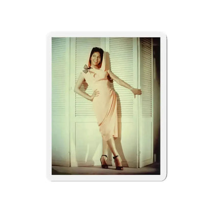 Dorothy Dandridge #96 (Vintage Female Icon) Refrigerator Magnet - The Sticker Space