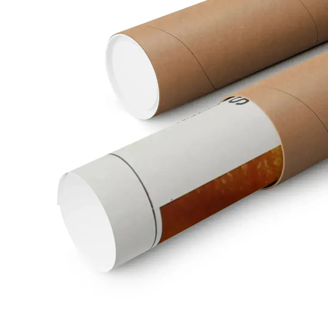 DR. PHIBES RISES AGAIN! 1972 - Paper Movie Poster - The Sticker Space