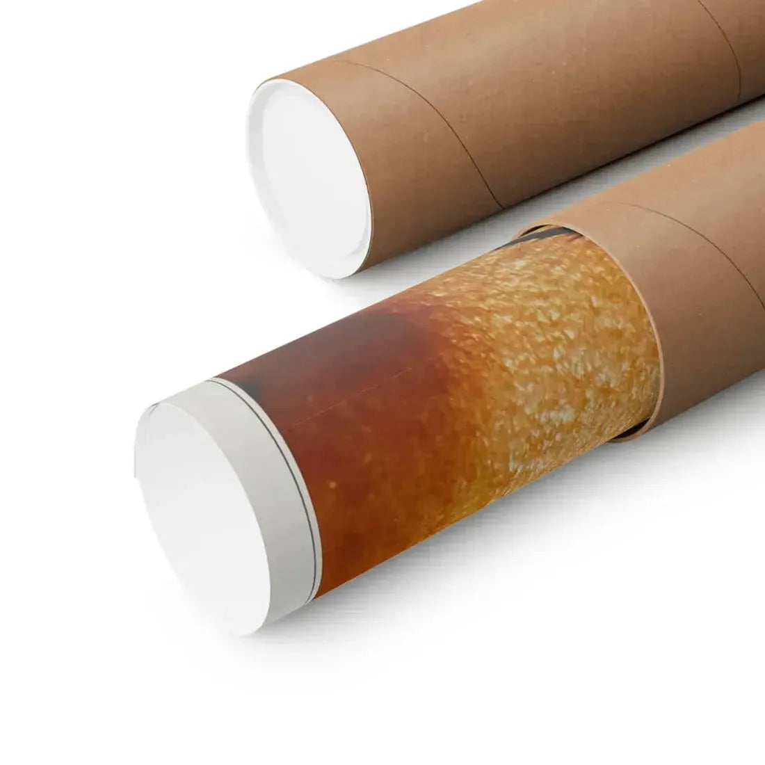 DR. PHIBES RISES AGAIN! 1972 - Paper Movie Poster - The Sticker Space