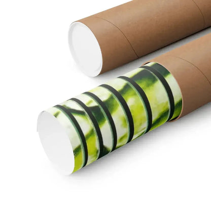 DR. PHIBES RISES AGAIN! (2) 1972 - Paper Movie Poster - The Sticker Space