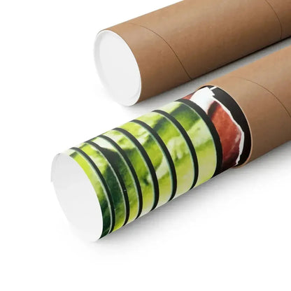 DR. PHIBES RISES AGAIN! (2) 1972 - Paper Movie Poster - The Sticker Space