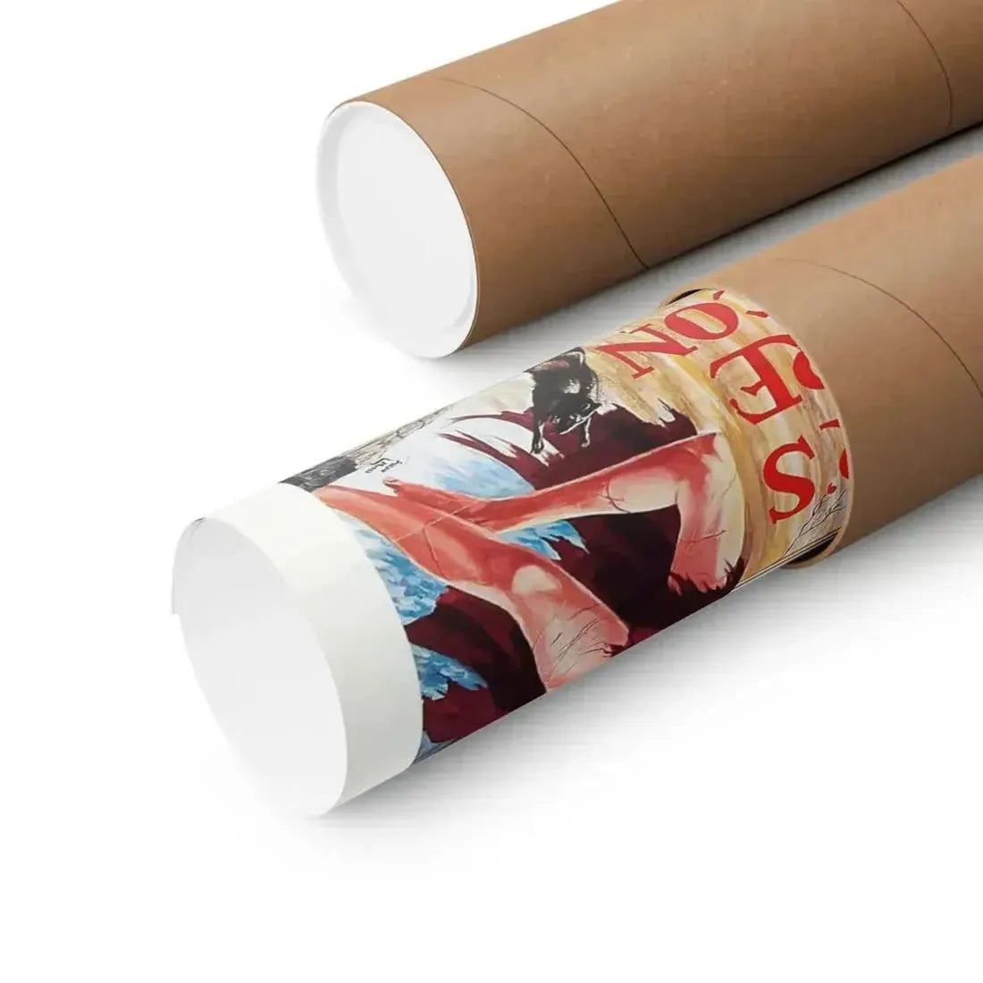 DR. TARR'S TORTURE DUNGEON 1973 - Paper Movie Poster - The Sticker Space