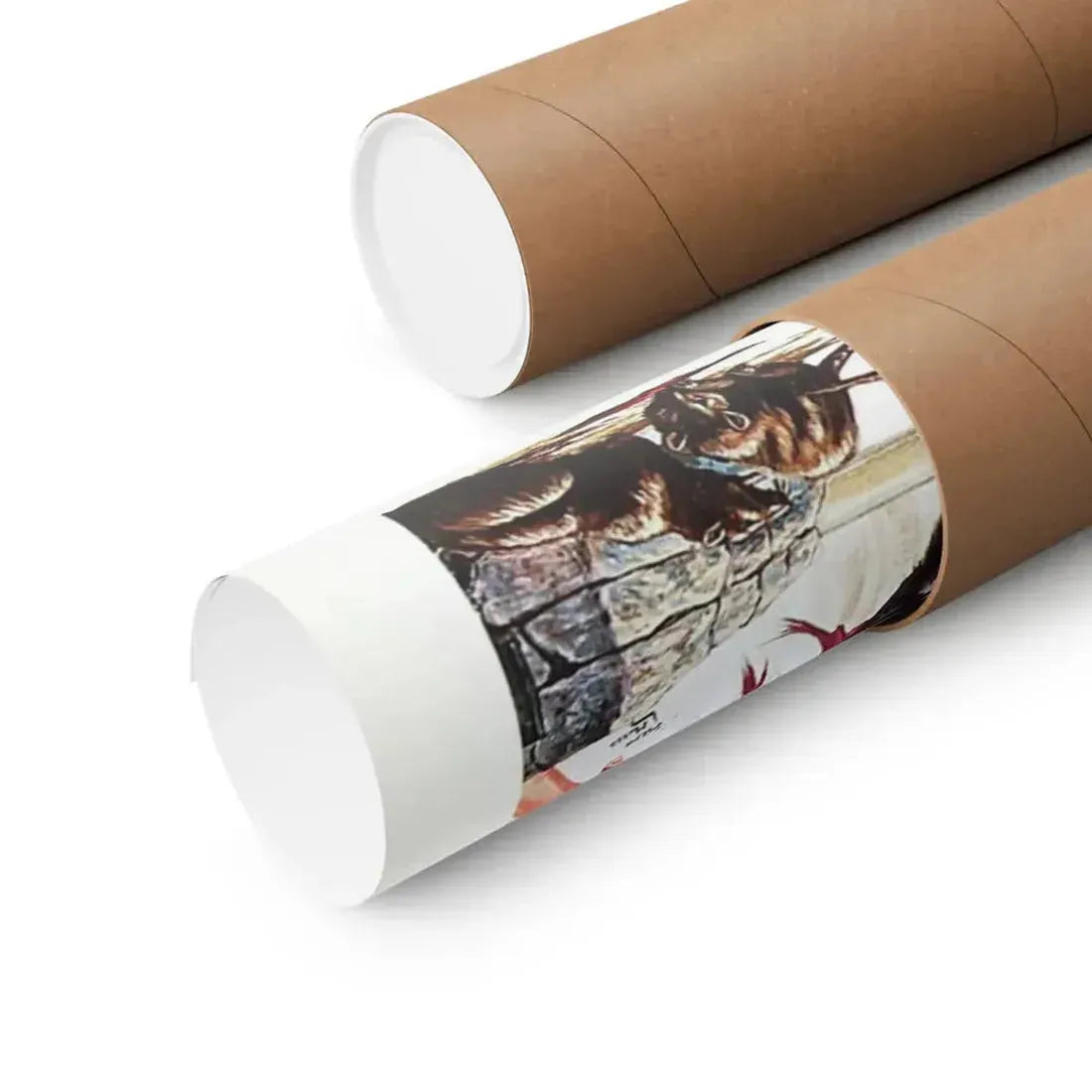 DR. TARR'S TORTURE DUNGEON 1973 - Paper Movie Poster - The Sticker Space