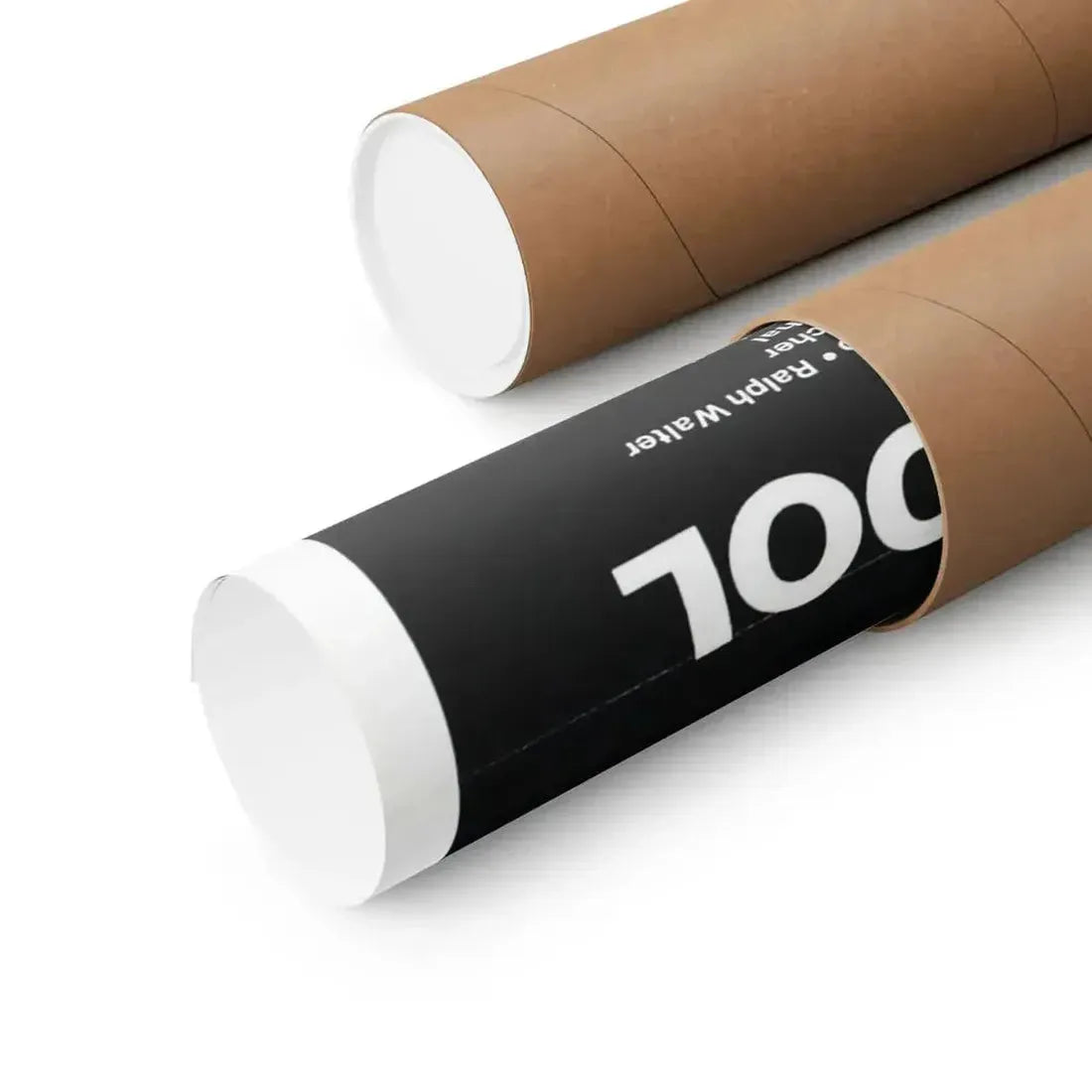 DRACULA BLOWS HIS COOL 1979 - Paper Movie Poster - The Sticker Space