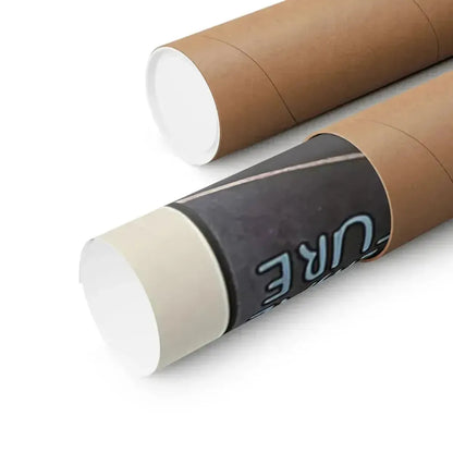 DRACULA - Paper Movie Poster - The Sticker Space