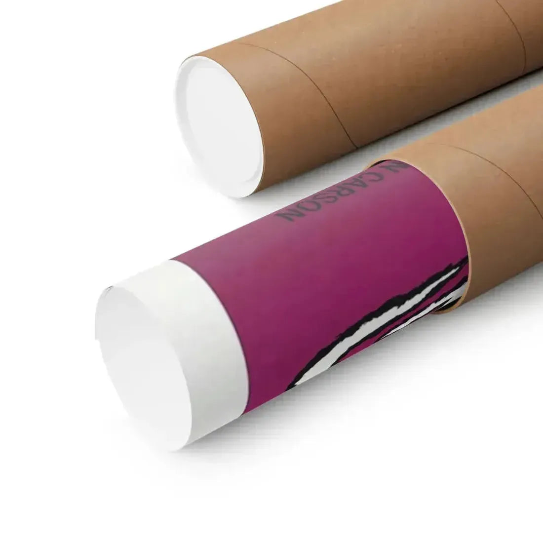 DRACULA PRINCE OF DARKNESS + THE PLAGUE OF THE ZOMBIES 1966 - Paper Movie Poster - The Sticker Space