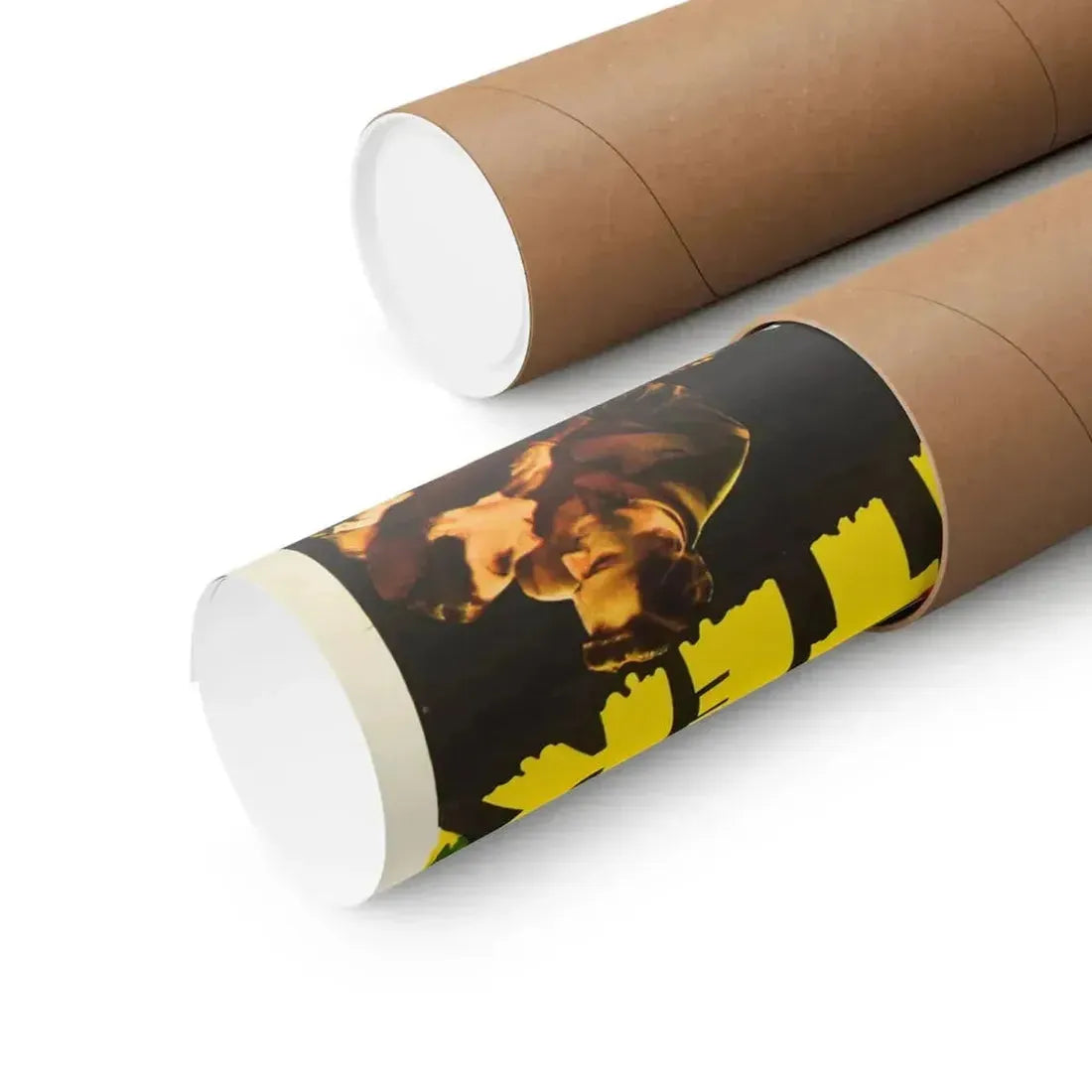 DRACULA'S DAUGHTER 1936 - Paper Movie Poster - The Sticker Space