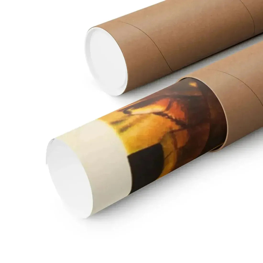 DRACULA'S DAUGHTER 1936 - Paper Movie Poster - The Sticker Space