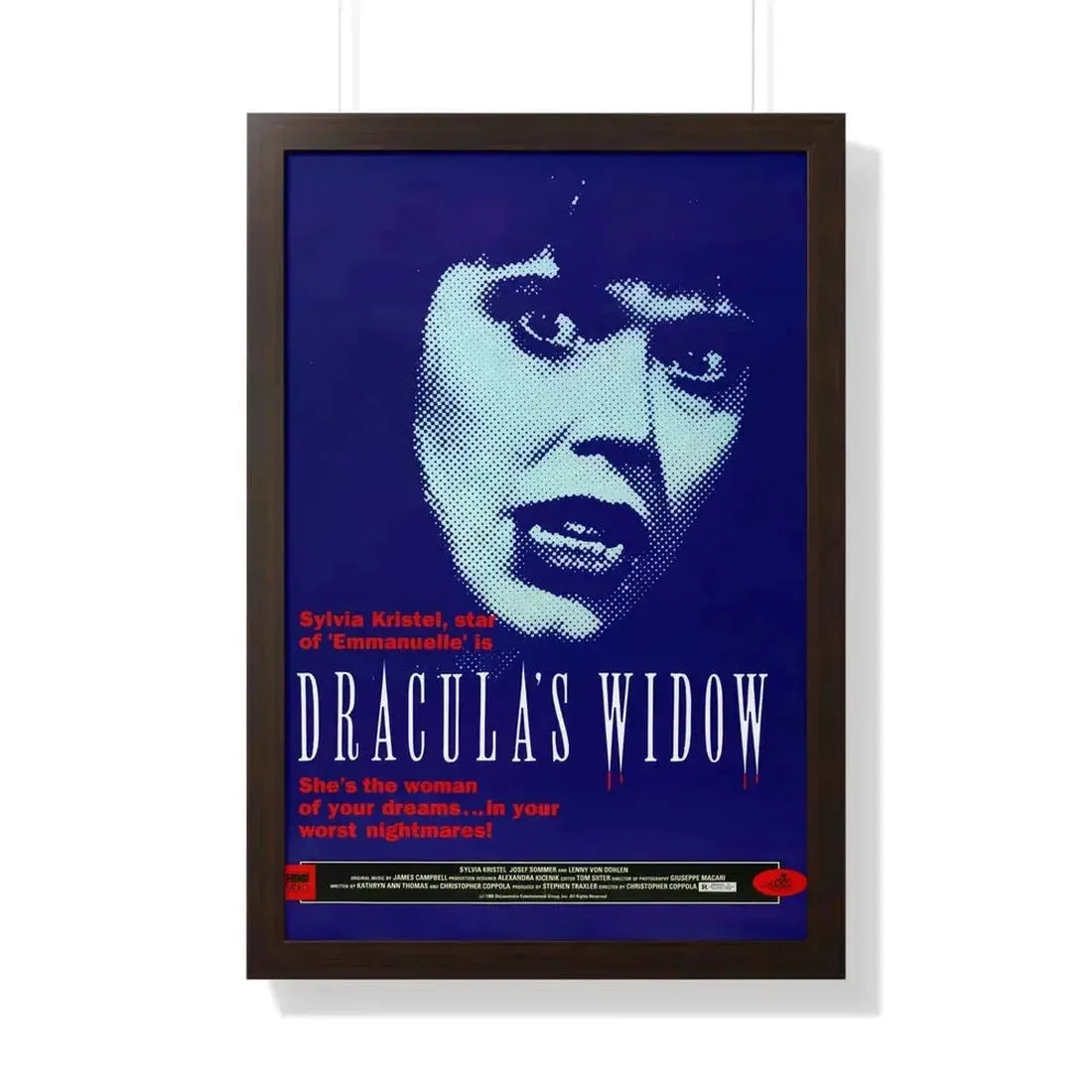 DRACULA'S WIDOW 1988 - Framed Movie Poster - The Sticker Space