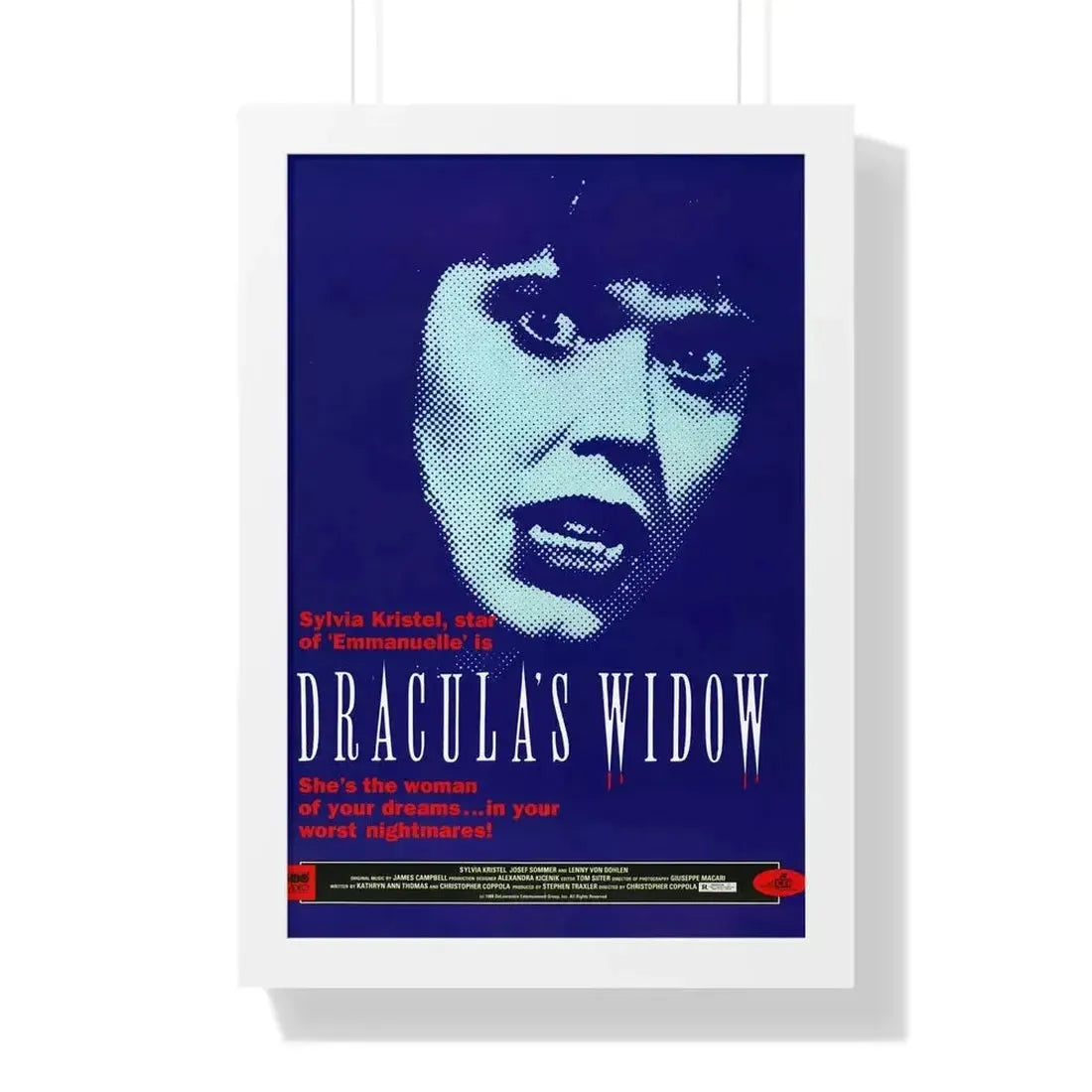 DRACULA'S WIDOW 1988 - Framed Movie Poster - The Sticker Space