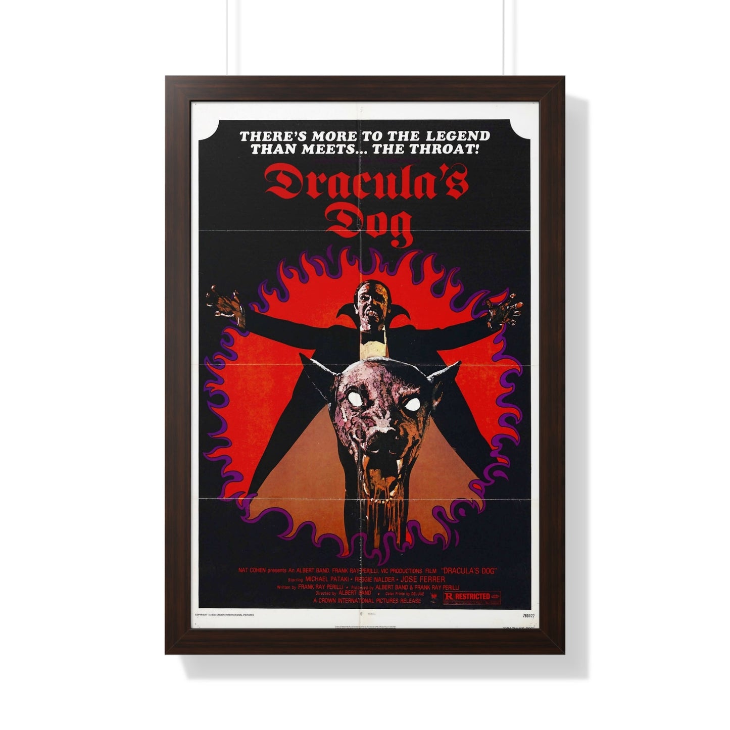 DRACULA'S DOG 1977 - Framed Movie Poster-20" x 30"-The Sticker Space