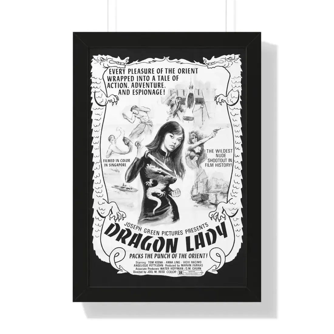 DRAGON LADY 1992 - Framed Movie Poster 16″ x 24″ Black - The Sticker Space