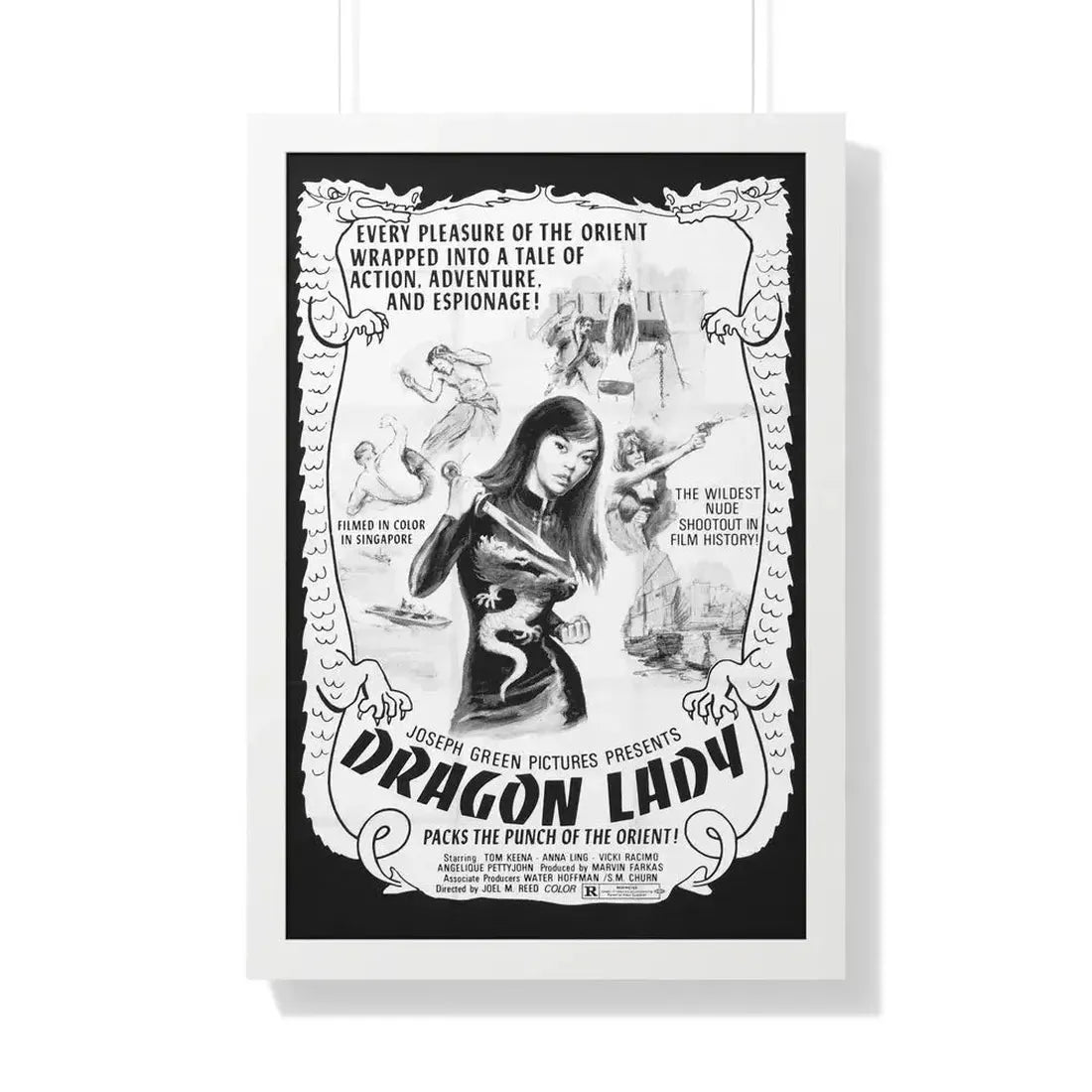 DRAGON LADY 1992 - Framed Movie Poster - The Sticker Space
