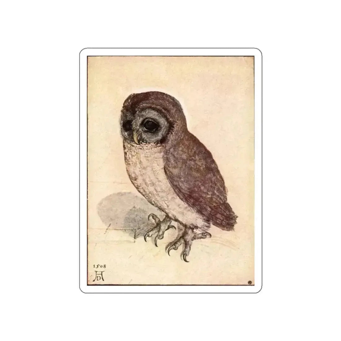 DURER, Albrecht - The Little Owl (Artwork) STICKER Vinyl Die-Cut Decal White Die-Cut 2 Inch - The Sticker Space