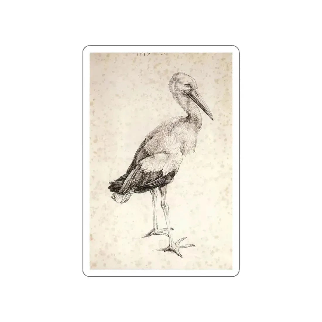 DURER, Albrecht - The Stork (Artwork) STICKER Vinyl Die-Cut Decal White Die-Cut 4 Inch - The Sticker Space