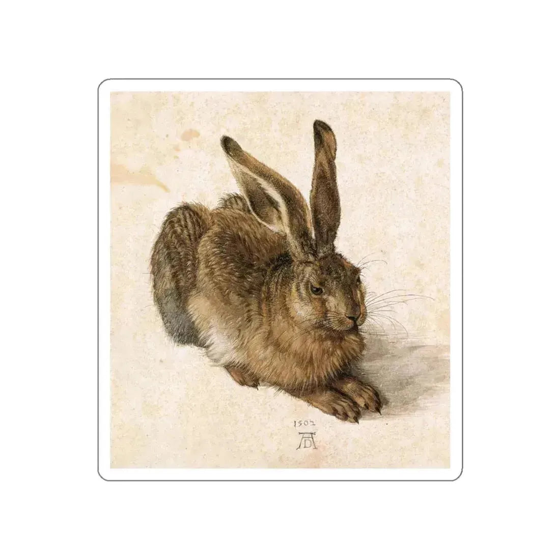 DURER, Albrecht - Young Hare (Artwork) STICKER Vinyl Die-Cut Decal White Die-Cut 6 Inch - The Sticker Space
