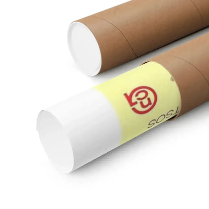 EL CONDOR (2) 1970 - Paper Movie Poster - The Sticker Space