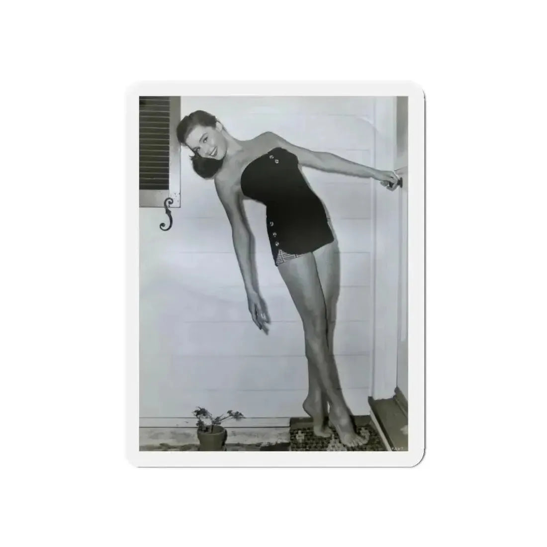 Elaine Stewart #120 (Vintage Female Icon) Refrigerator Magnet - The Sticker Space