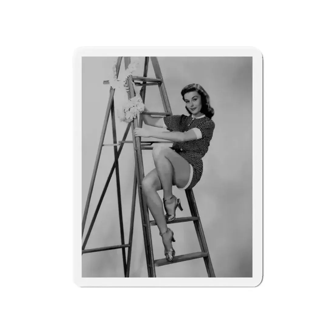 Elaine Stewart #31 (Vintage Female Icon) Refrigerator Magnet - The Sticker Space