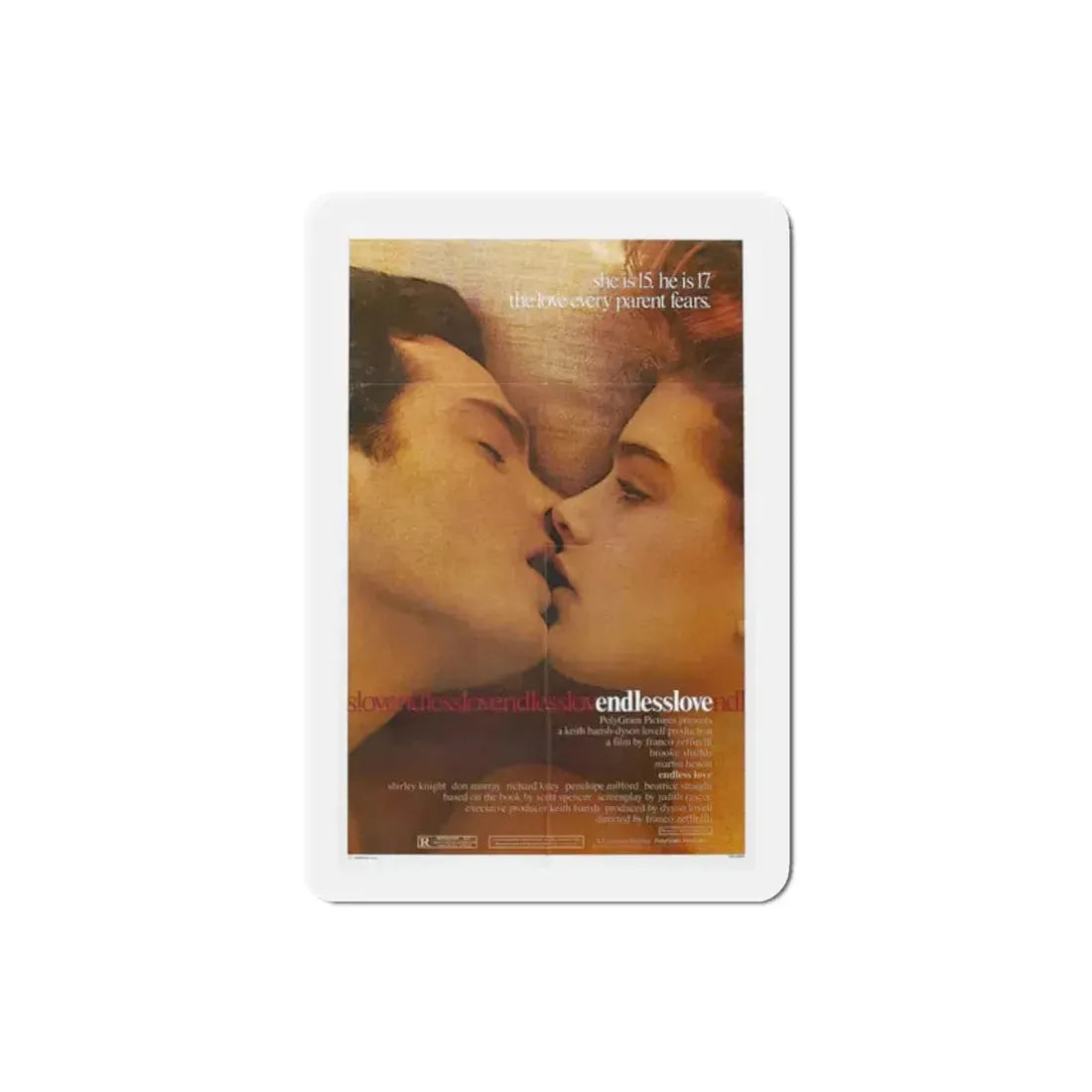 Endless Love 1981 Movie Poster Refrigerator Magnet 2 Inch - The Sticker Space