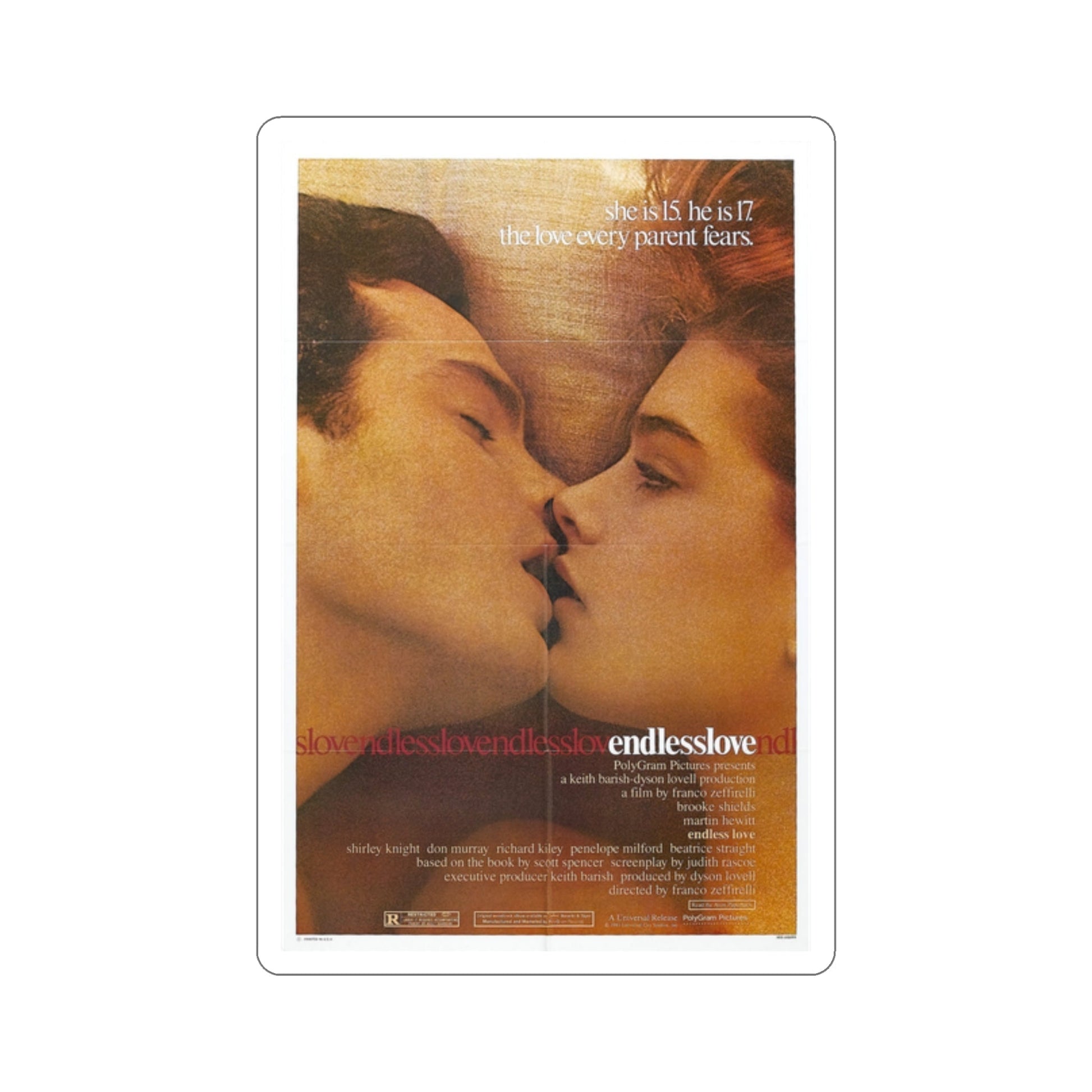 Endless Love 1981 Movie Poster STICKER Vinyl Die-Cut Decal-2 Inch-The Sticker Space