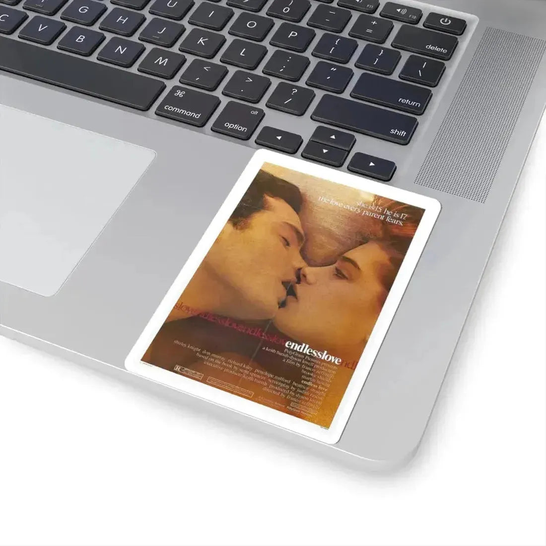 Endless Love 1981 Movie Poster - STICKER Vinyl Kiss-Cut Decal - The Sticker Space