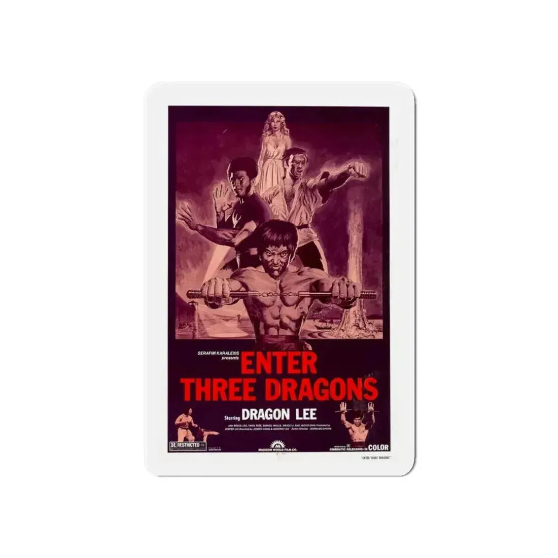 ENTER THREE DRAGONS 1978 Movie Poster - Refrigerator Magnet - The Sticker Space