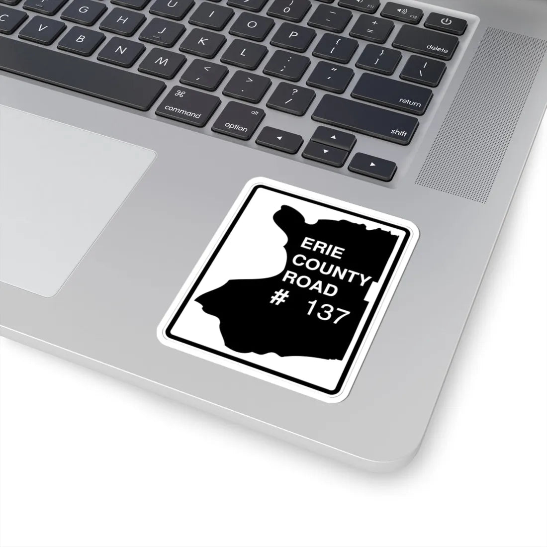 Erie County 137 NY (New York) (Road Sign) STICKER Vinyl Kiss-Cut Decal - The Sticker Space