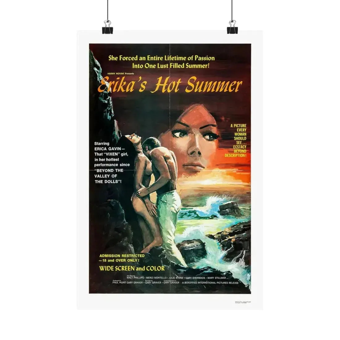 ERIKA'S HOT SUMMER 1971 - Paper Movie Poster 12″ x 18″ Matte - The Sticker Space