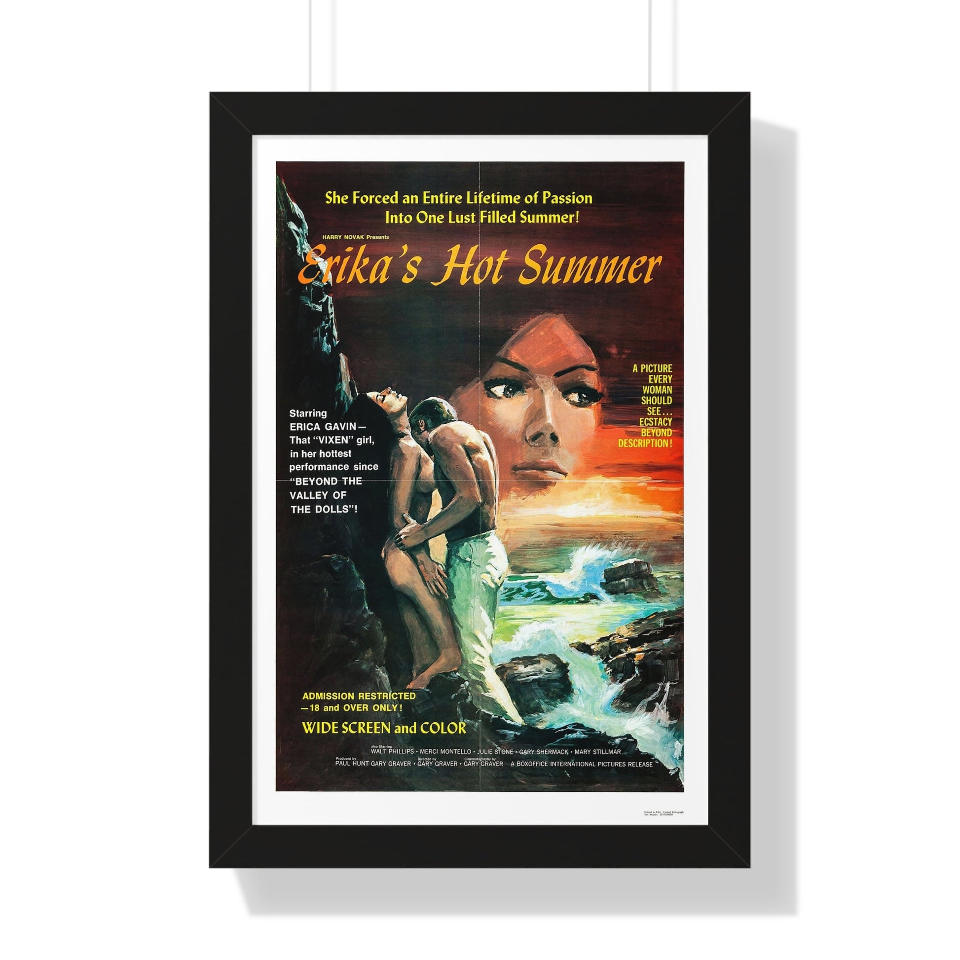 ERIKA'S HOT SUMMER 1971 - Framed Movie Poster-16″ x 24″-The Sticker Space