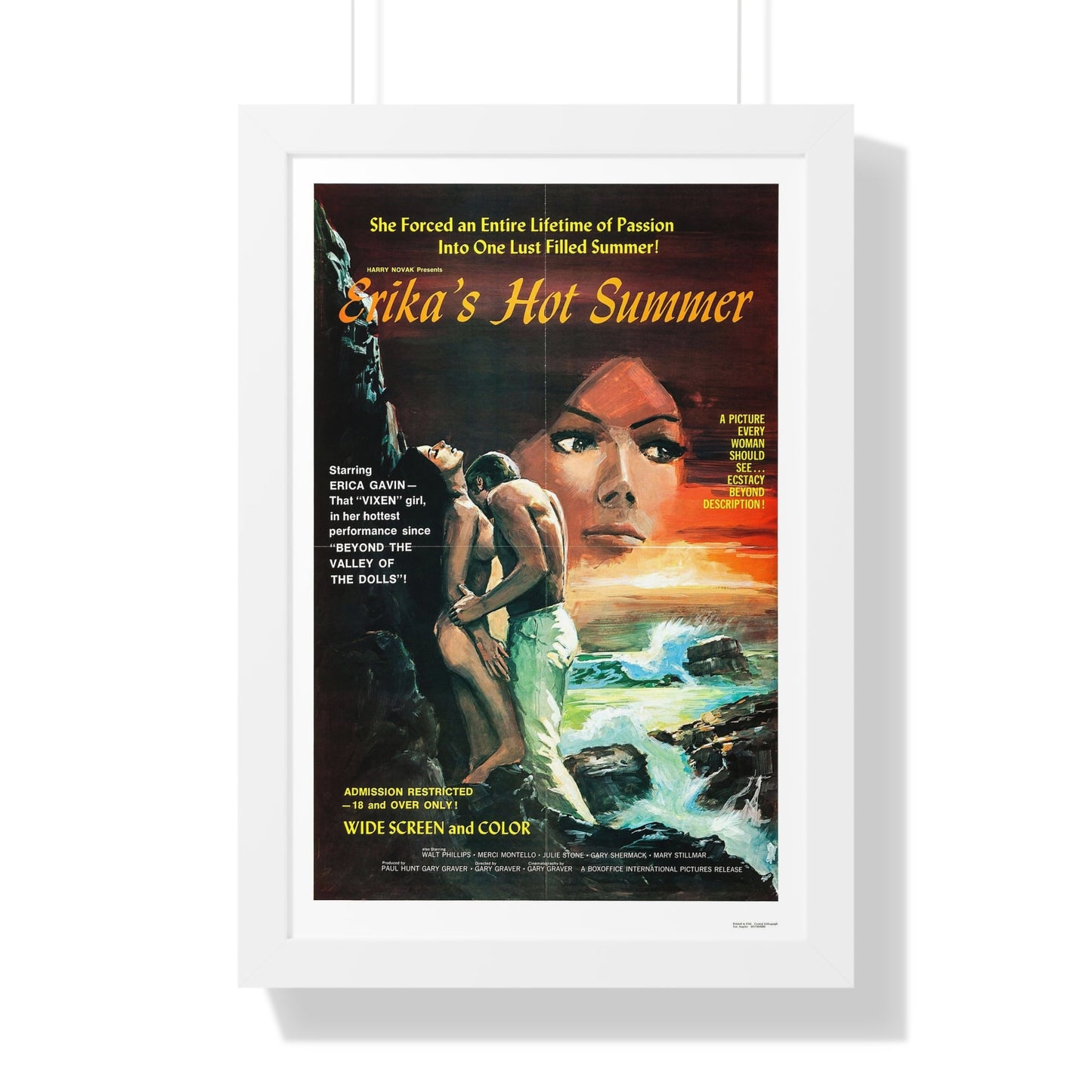 ERIKA'S HOT SUMMER 1971 - Framed Movie Poster-16″ x 24″-The Sticker Space