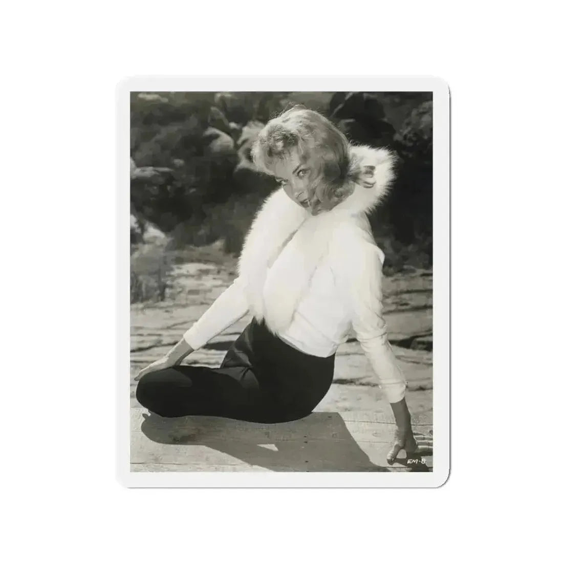 Eve Meyer #45 (Vintage Female Icon) Refrigerator Magnet 3 Inch Die-Cut - The Sticker Space