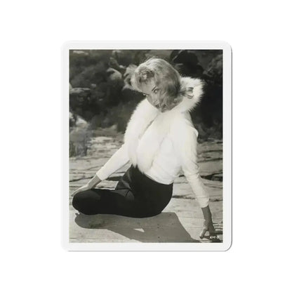 Eve Meyer #45 (Vintage Female Icon) Refrigerator Magnet 4 Inch Die-Cut - The Sticker Space