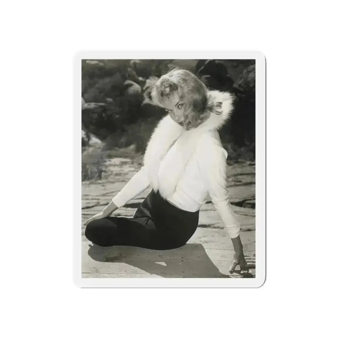 Eve Meyer #45 (Vintage Female Icon) Refrigerator Magnet - The Sticker Space