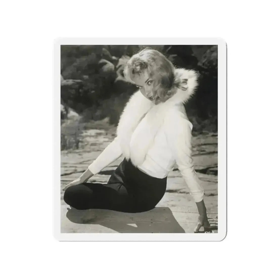 Eve Meyer #45 (Vintage Female Icon) Refrigerator Magnet - The Sticker Space