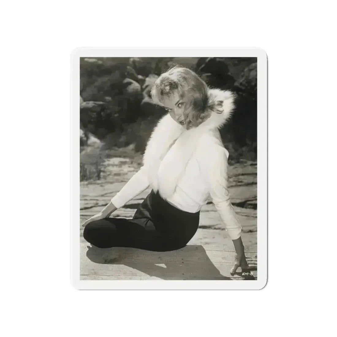 Eve Meyer #45 (Vintage Female Icon) Refrigerator Magnet - The Sticker Space