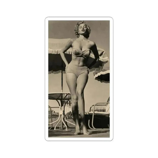 Eve Meyer #48 (Vintage Female Icon) STICKER Vinyl Kiss-Cut Decal 2 Inch White - The Sticker Space