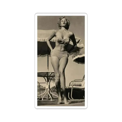 Eve Meyer #48 (Vintage Female Icon) STICKER Vinyl Kiss-Cut Decal 6 Inch White - The Sticker Space