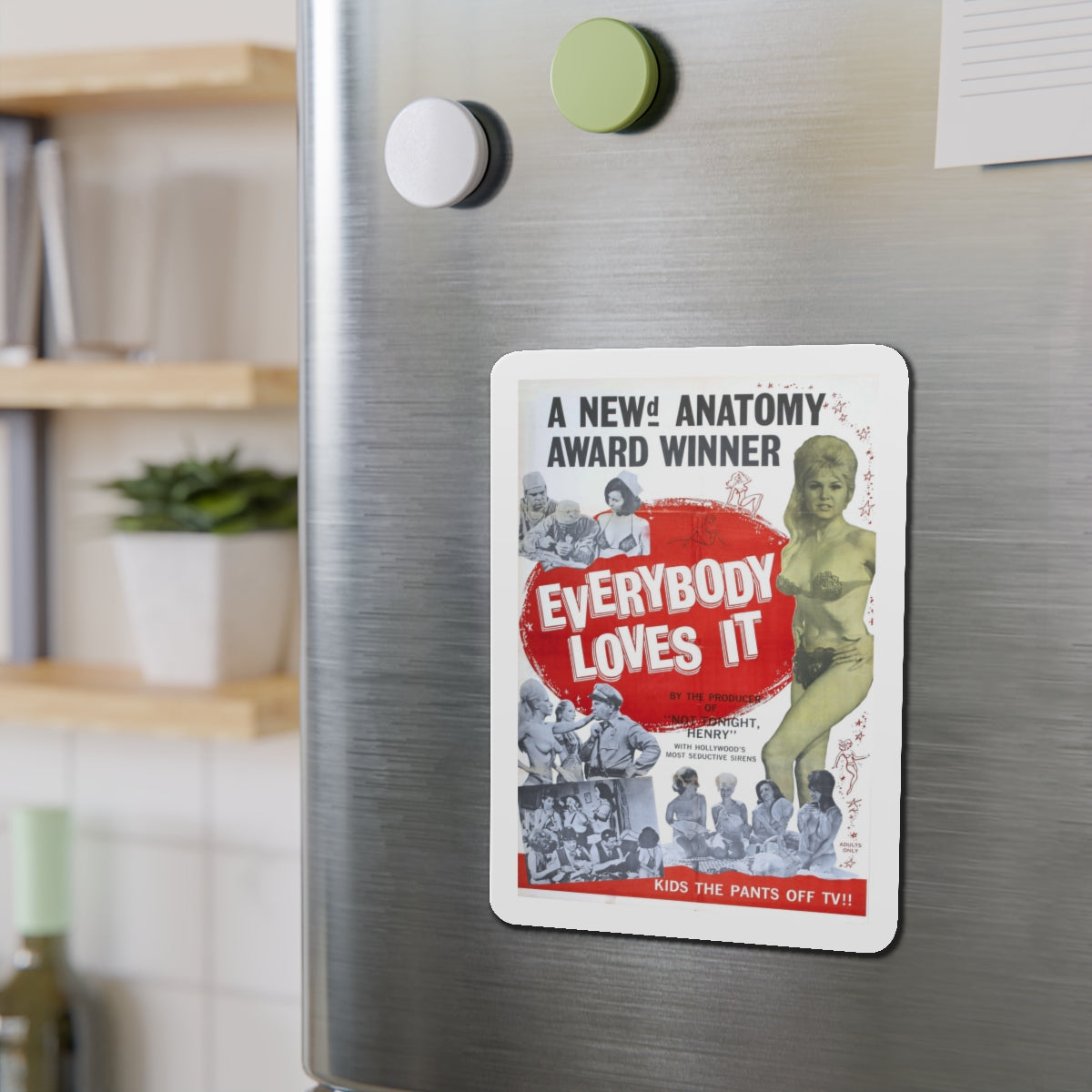 EVERYBODY LOVES IT 1964 Movie Poster - Die-Cut Magnet-The Sticker Space