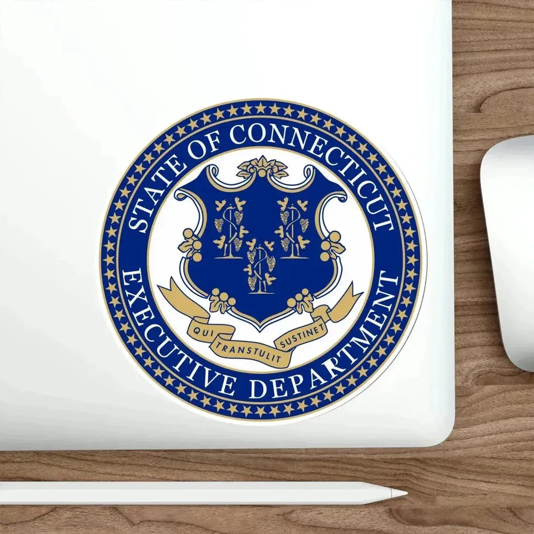 Executive Department of Connecticut STICKER Vinyl Die-Cut Decal - The Sticker Space