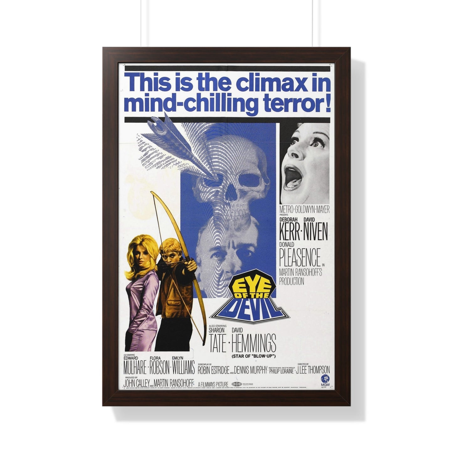 EYE OF THE DEVIL 1966 - Framed Movie Poster-20" x 30"-The Sticker Space