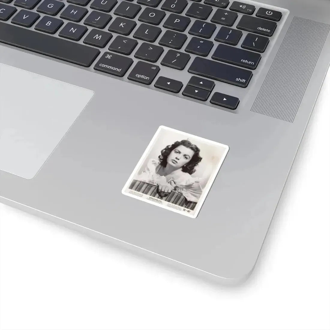 Faith Domergue #158 (Vintage Female Icon) STICKER Vinyl Kiss-Cut Decal - The Sticker Space
