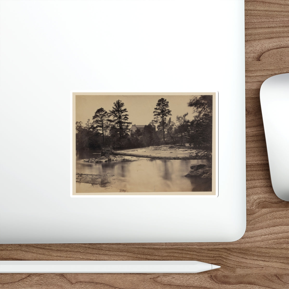 Fallen Tree Across Hazel River, Virginia (U.S. Civil War) STICKER Vinyl Die-Cut Decal-The Sticker Space