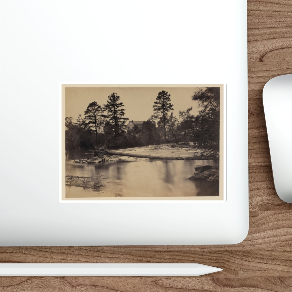 Fallen Tree Across Hazel River, Virginia (U.S. Civil War) STICKER Vinyl Die-Cut Decal-The Sticker Space