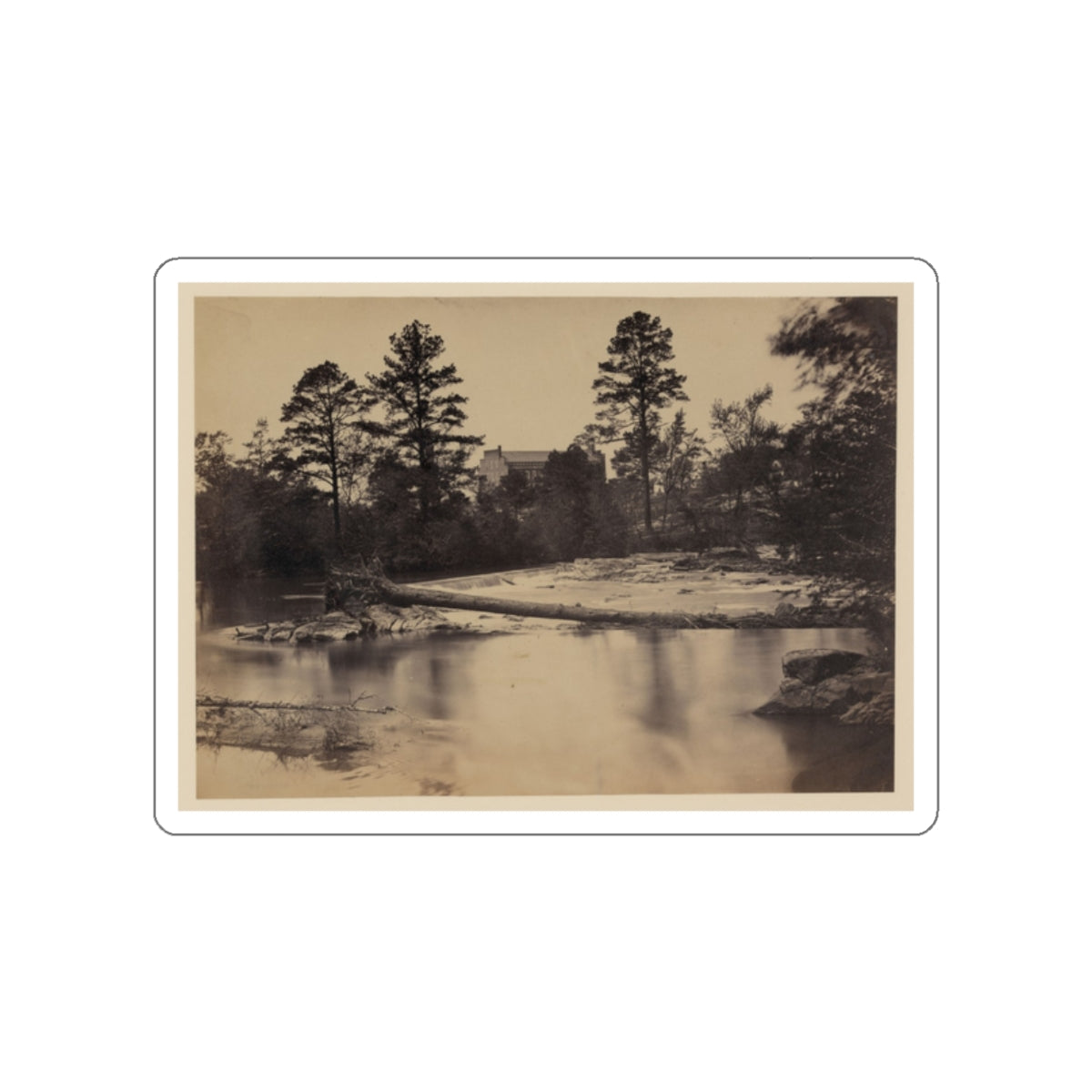 Fallen Tree Across Hazel River, Virginia (U.S. Civil War) STICKER Vinyl Die-Cut Decal-White-The Sticker Space